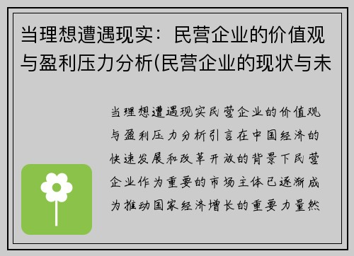 当理想遭遇现实：民营企业的价值观与盈利压力分析(民营企业的现状与未来发展)